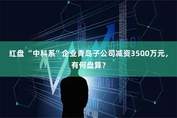 红盘 “中科系”企业青岛子公司减资3500万元，有何盘算？